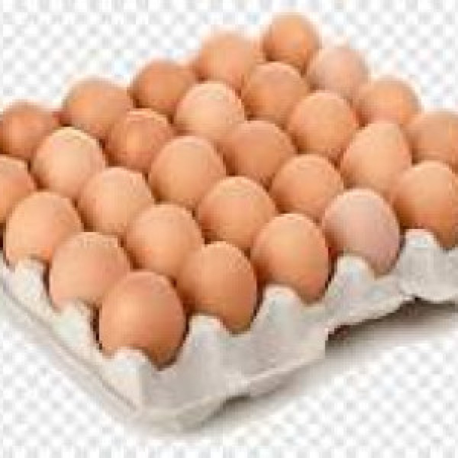 Telur Ayam - depan