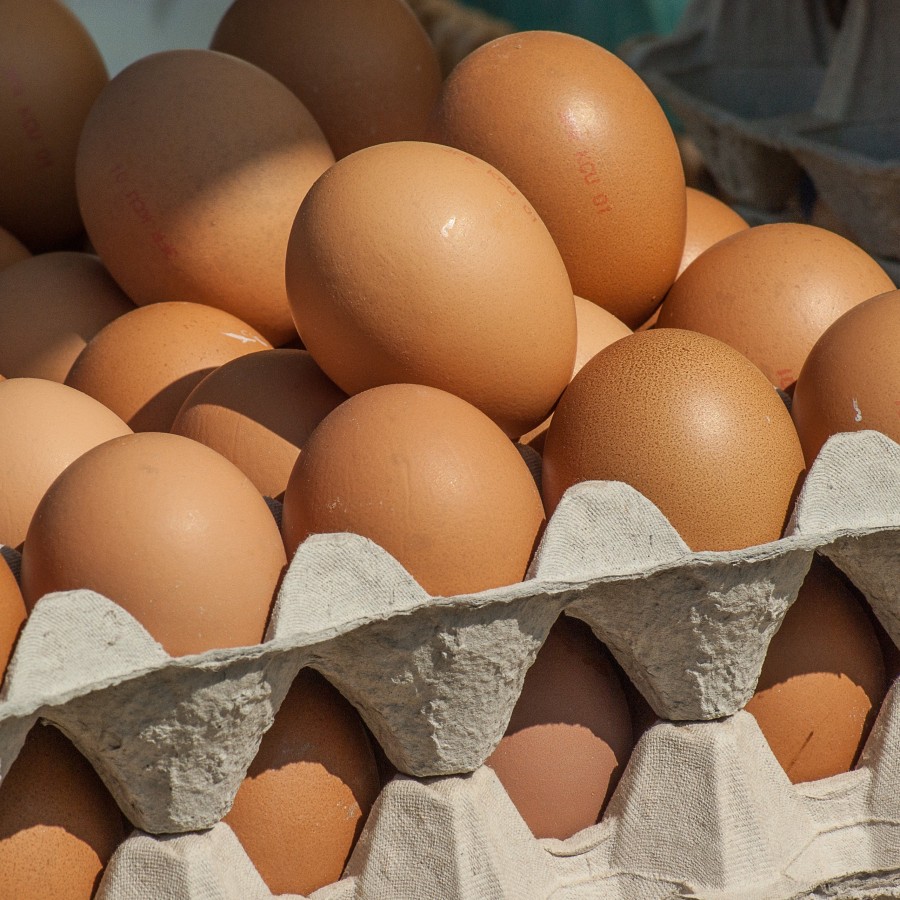 Telur Ayam Dalam Negeri - depan