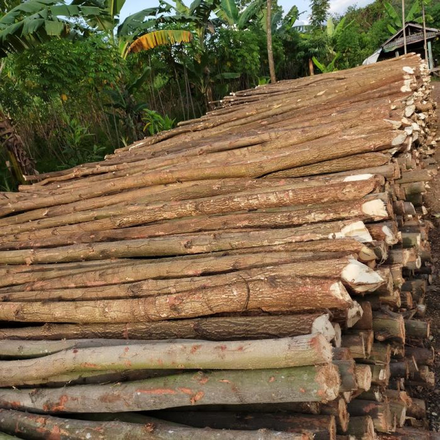 Dolken Kayu