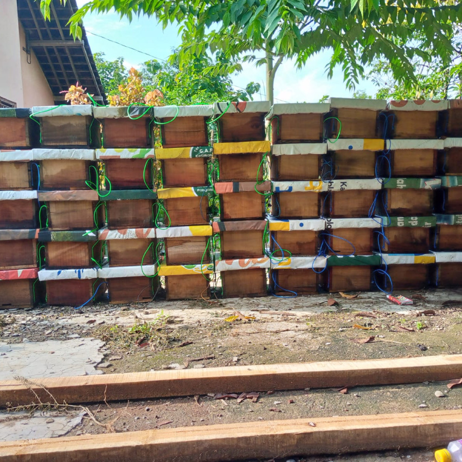 SETUP LEBAH MADU APIS CERANA - utama