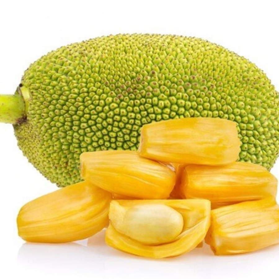 Buah Nangka