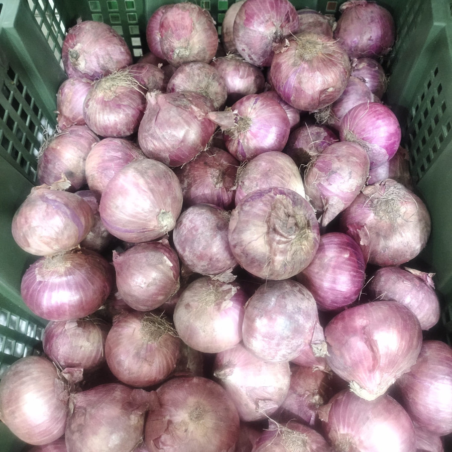 Bawang Merah