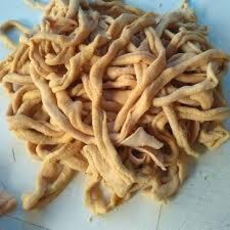 Usus Ayam.