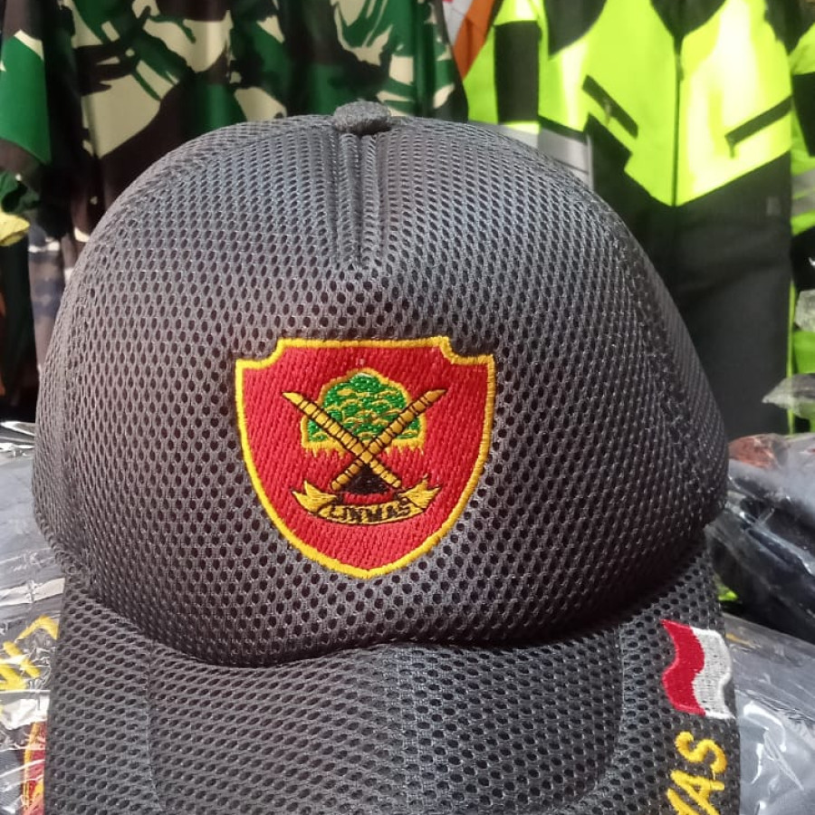 Topi linmas