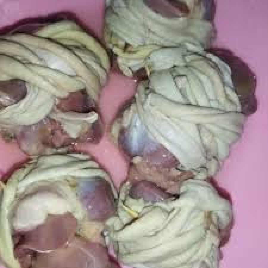 ampela ati ayam
