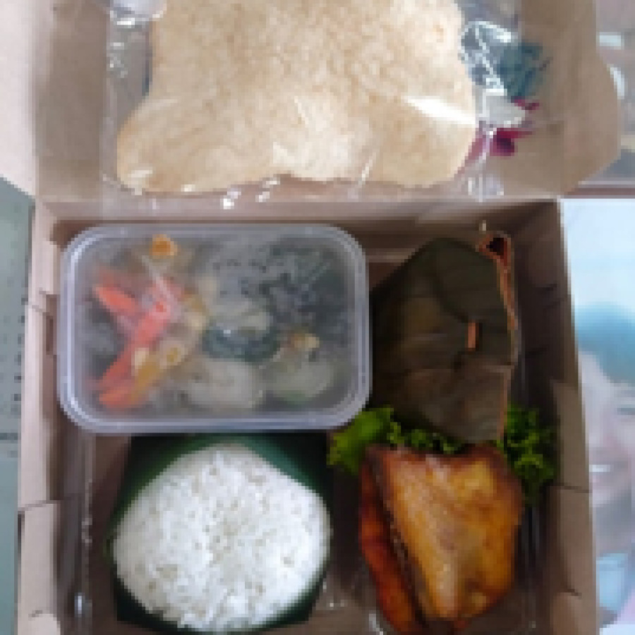 NASI KOTAK BOTOK TERI TEMPE - utama