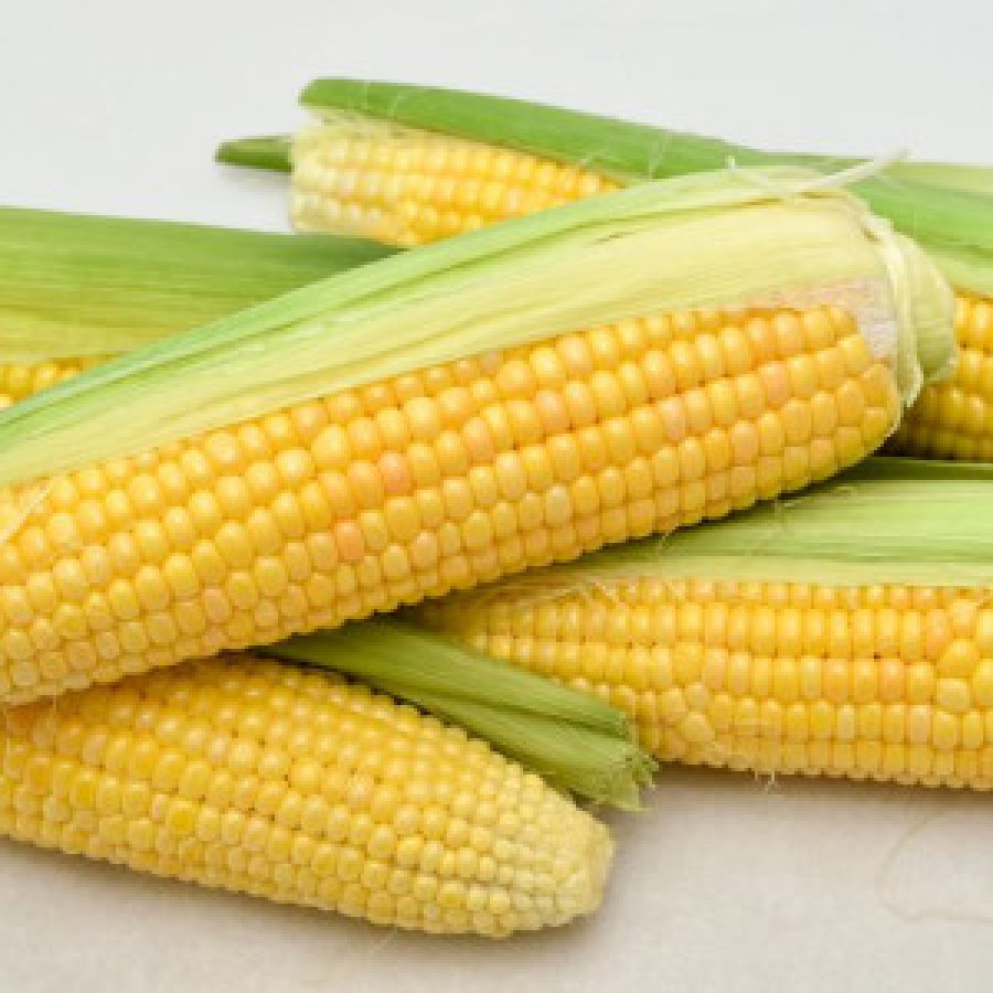sayuran Jagung Manis