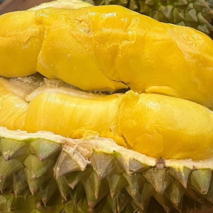Durian Montong - depan