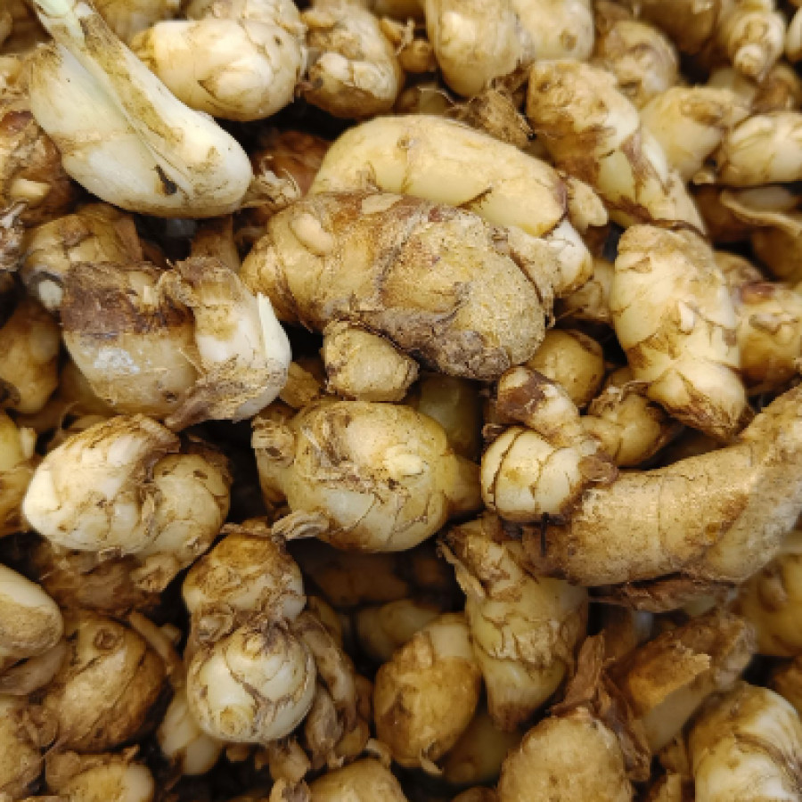 Kencur 1 Kg