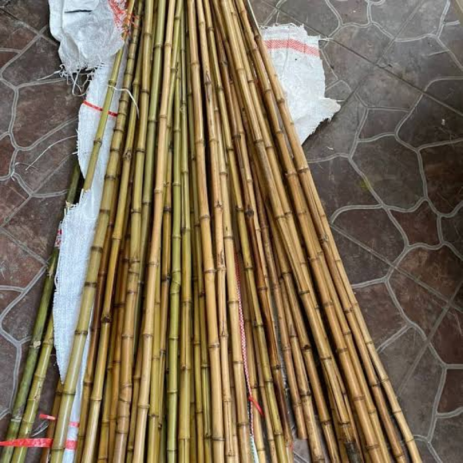 Bambu 4 meter - detail
