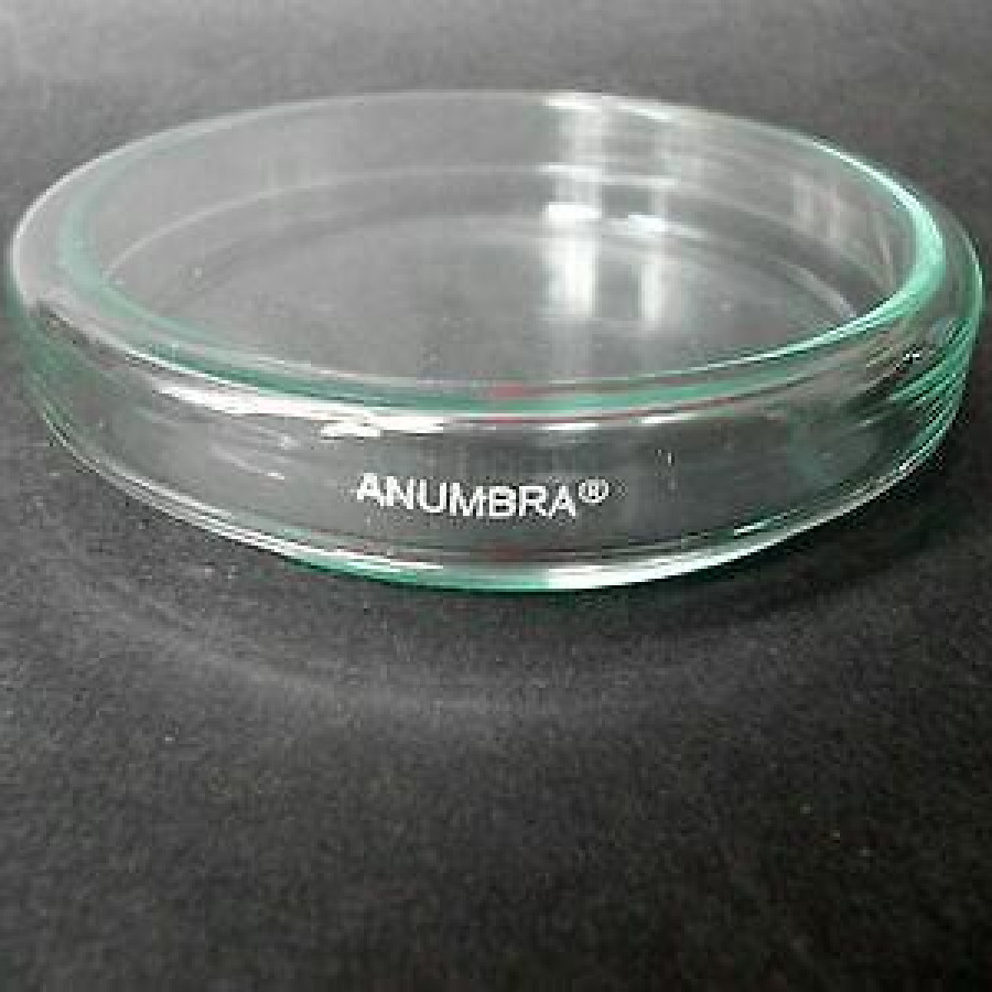 PETRIDISH (CAWAN PETRI)