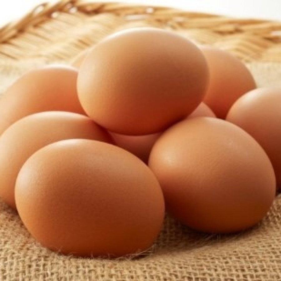 TELUR AYAM