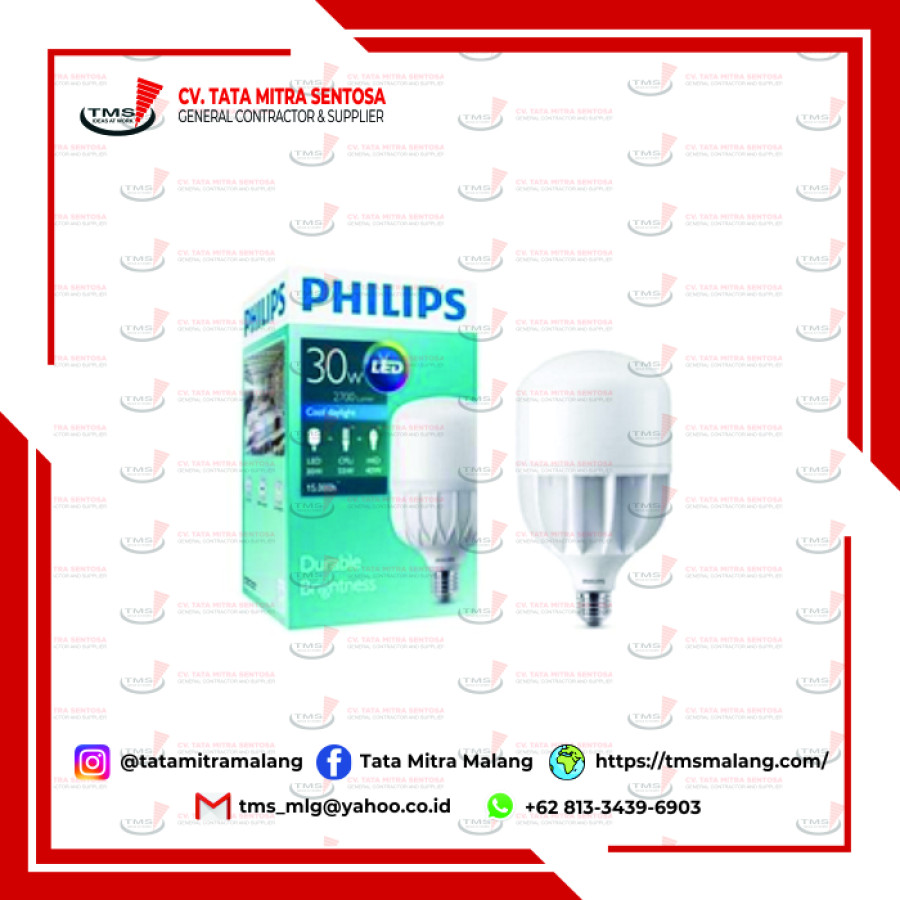 Lampu Philips Trueforce 30W