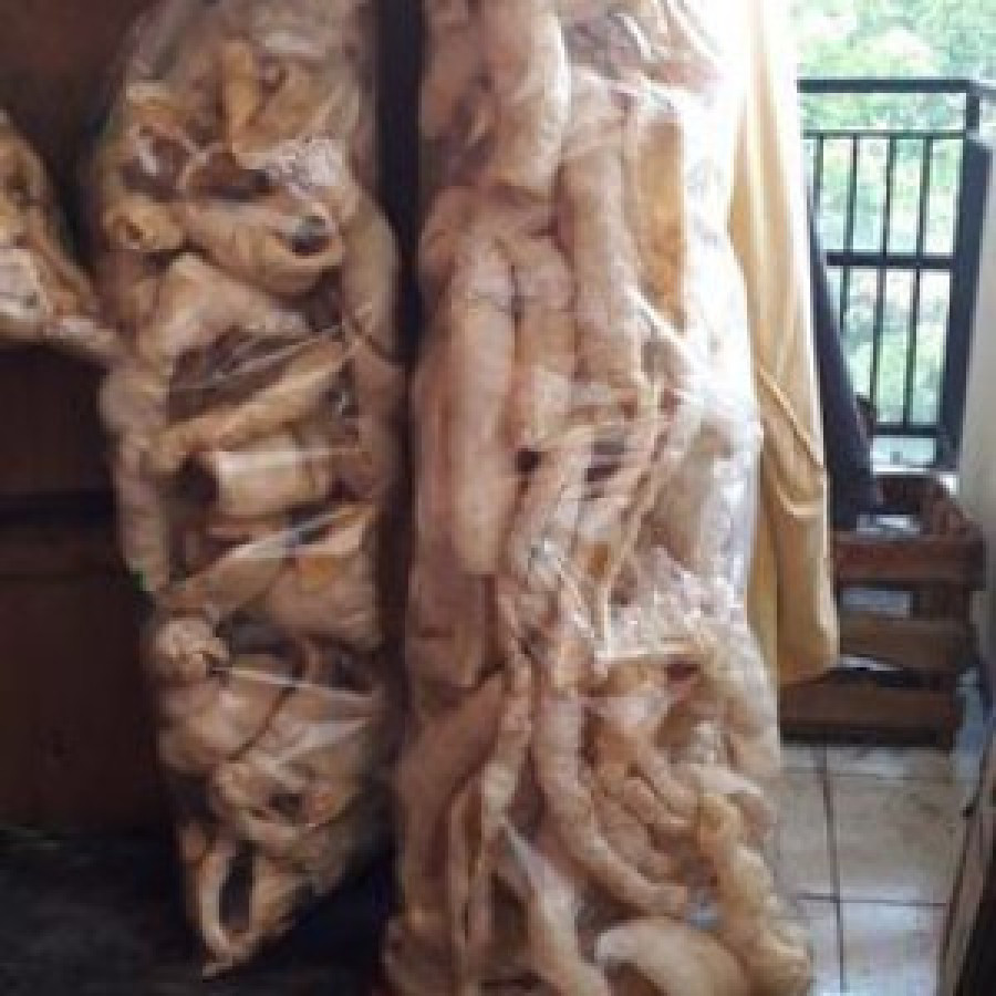 Rambak Kult Sayur