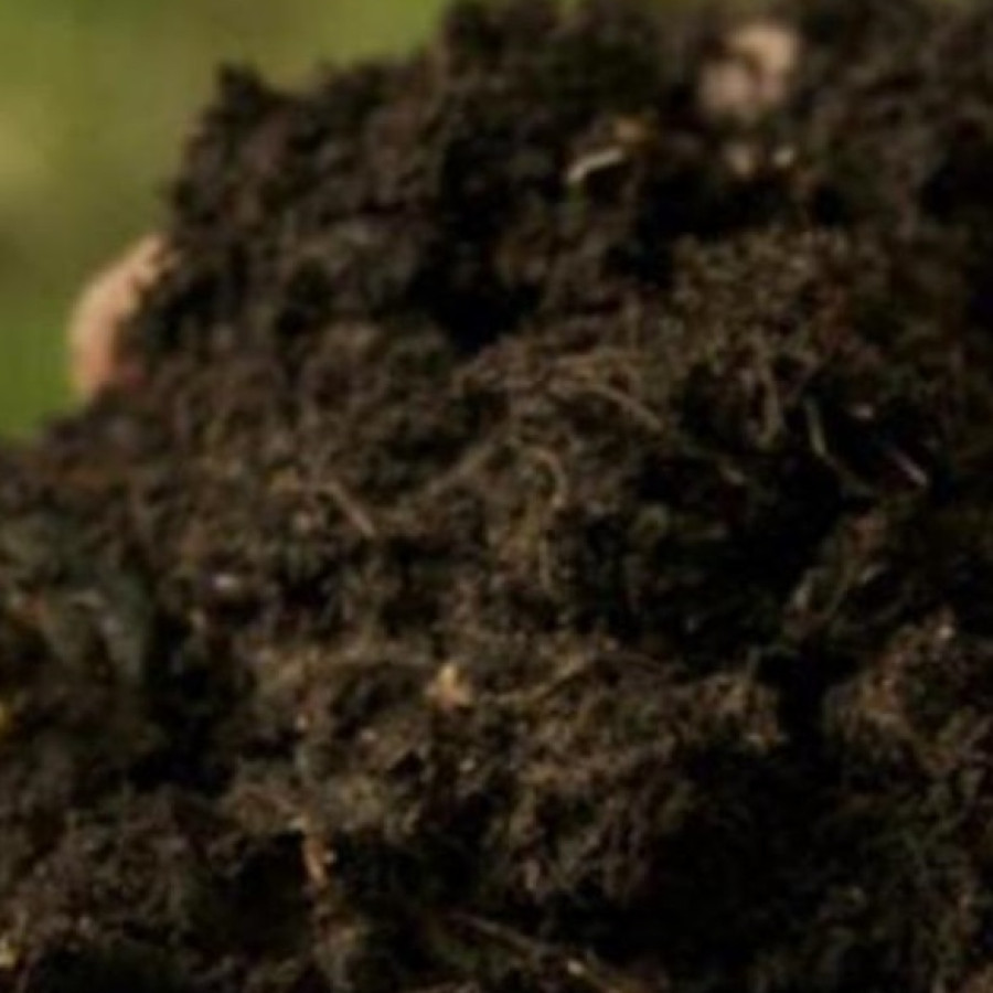 Pupuk Organik - depan