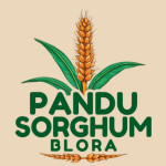 UD. PANDU